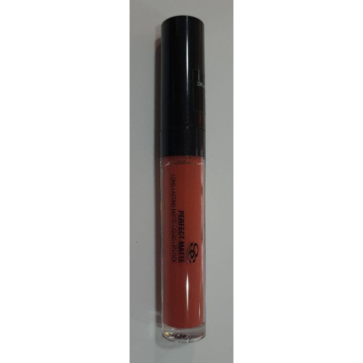 Labial perfect matte Burnt Amber Salerm - PM05