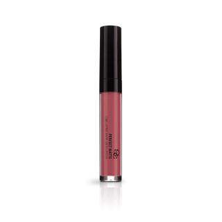 Labial perfect matte Camelian Pink Salerm - PM04