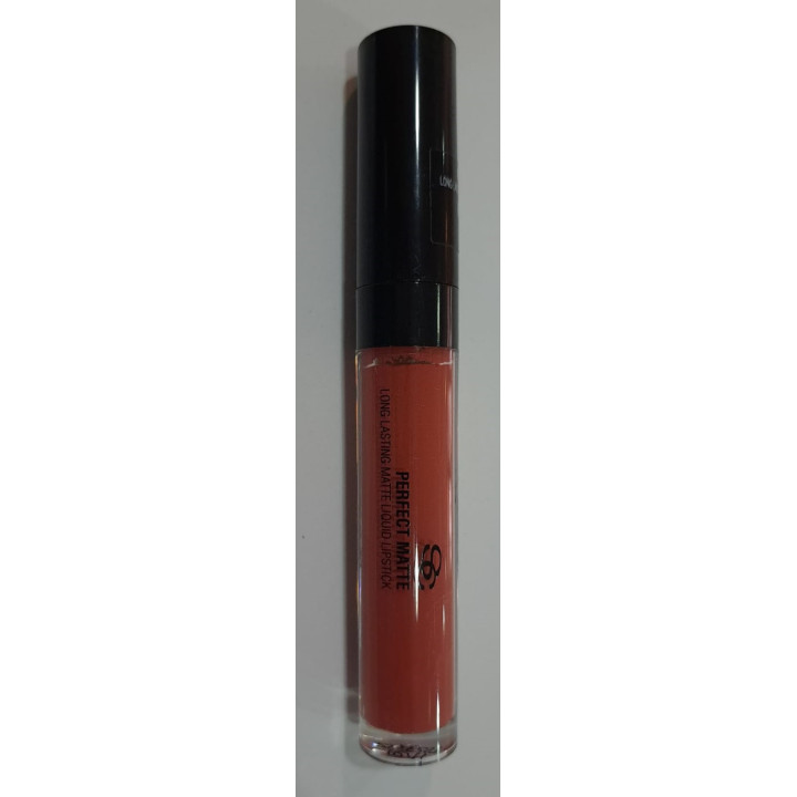 Labial perfect matte Burnt Amber Salerm - PM05