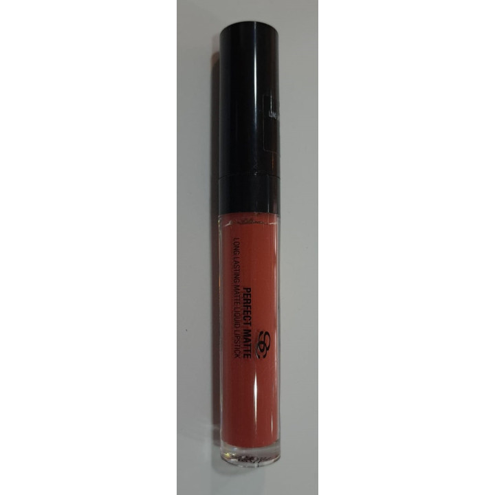 Labial perfect matte Burnt Amber Salerm - PM05