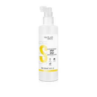 Spray Impermeabilizante Salerm 1501